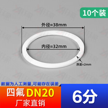 Yaowanxi ptfe union gasket stainless steel union washer high temperature resistance, acid and alkali resistance, anti-corrosion ptfe seal ring ptfe-dn20 (pack of 10)