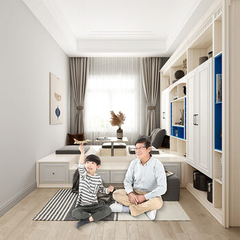 Sophia tatami bed multifunctional leisure tatami wardrobe integrated bed cabinet bedroom storage box bed custom furniture yuan/