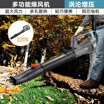 Hengjieli storm blower rechargeable and plug-in dual-purpose hair dryer blowing snow, sanitation, environmental protection, fallen leaves, fairway greening road, electric dust collector, soot blower 220v storm blower + 3 meters wire (six-speed adjustment)