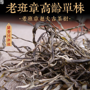 Ming guan zhongpin spring tea 2021 lao ban zhang senior single ancient tree loose tea yunnan loose tea ancient tree pu'er tea 500g