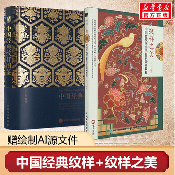 Chinese classic pattern illustrated book 2 volumes chinese classic pattern illustrated book + the beauty of patterns