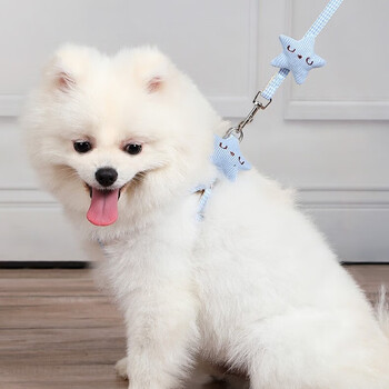 Amor pomeranian puppy leash small dog teddy bichon dog rope outdoor dog walking puppy dog chain pet supplies little starfish blue s recommended 2-6 catties