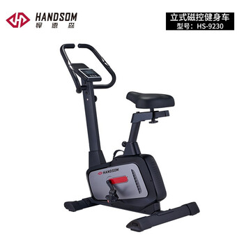 Henderson vertical magnetic exercise bike hs-9230 (taiwan)