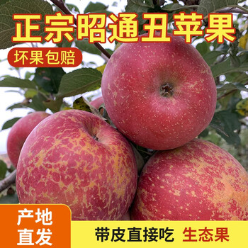 Freshly picked wild ugly apples in zhaotong, yunnan in season, rock candy heart apples, fresh, crisp and sweet large fruit 5/10 catties, large fruit 80mm-85mm, crispy and sweet, 10 catties