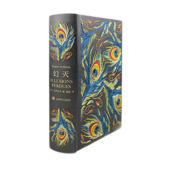 Translated illustrated collector's edition disillusionment 016 novel