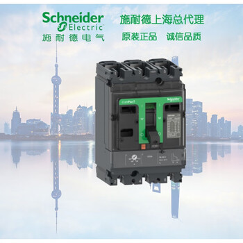 Schneider c16f3tm125 molded case circuit breaker nsx160f tmd 125a 3p3d