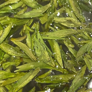Yanhai mid-autumn festival wenzhou yongjia special grade mingqian green tea new tea green tea tea bag tea bulk 250g first pick