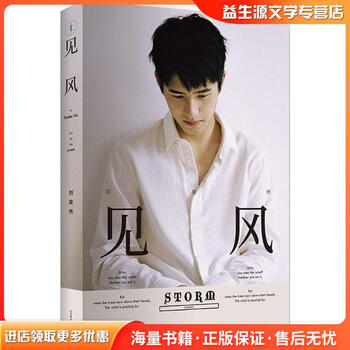 Seeing the wind liu haoran by china friendship publishing company 9787505736856