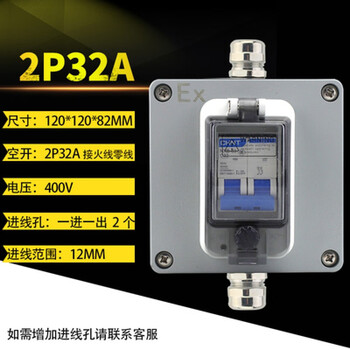 Industrial circuit breaker dustproof circuit breaker 380v switch 3p three-phase c63a waterproof light and dark assembly electrical box 2p32a-two circuits one in and one out