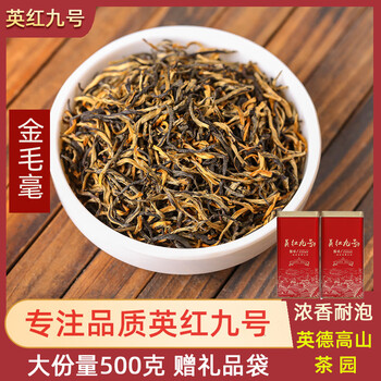 Yinghong no. 9 tea high mountain old tree yinghong no. 9 strong-flavor canned golden retriever haochun tea wholesale new tea 1959 random delivery