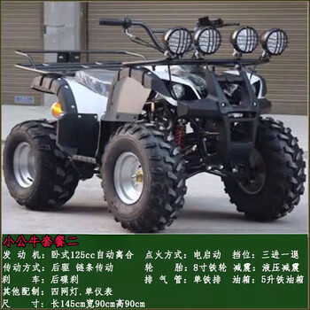 Septi atv four-wheel off-road motorcycle all-terrain big bull automatic electric mountain motorcycle four-wheel drive gasoline little bull package 2