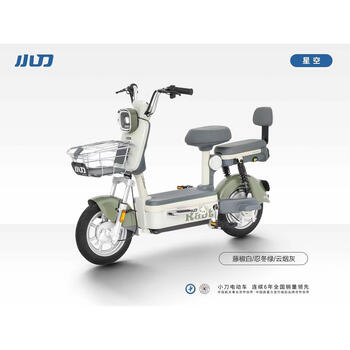 Xiaodao electric bike starry sky new new national standard men's and women's electric bike battery car graphene long life rattan pepper white 48v12ah