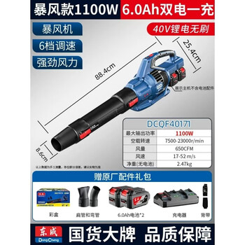 Dongcheng dongcheng rechargeable brushless lithium hair dryer industrial blower snow blower dongcheng dust collector dcqf40171 dongcheng dcqf40171 type 6.0 dual battery dual charge