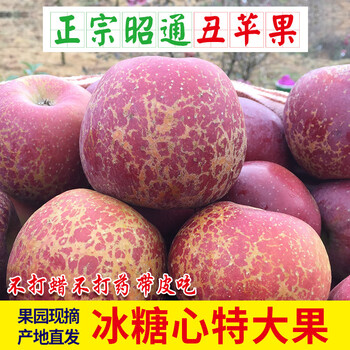 Now picked and found in season yunnan zhaotong wild rock candy heart ugly apple crisp sweet fruit fresh daliangshan 10 pounds 5 pounds high-quality large fruit 80mm-85mm