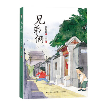 Two brothers (summer reading book for hundreds of classes and thousands of people) (8-14 years old) children's books, extracurricular books, primary school students' books