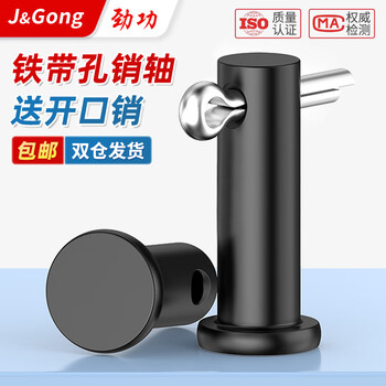 Jinggong iron flat head pin with hole pin pin with hole pin positioning pin positioning pin cylindrical pin with hole gb882 12*100 (2 sets)