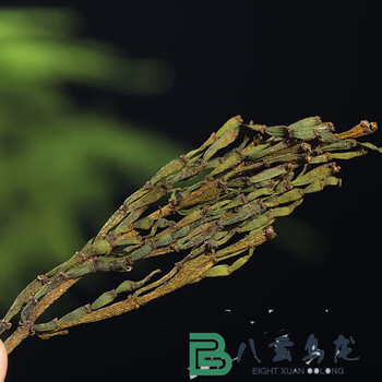 Yanhai yunnan crab legs jingmai ancient tree parasitic plant fragrant pu'er raw tea crab legs ancient tree tea gift box dragon boat festival crab legs