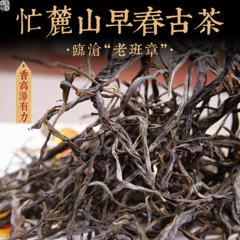 Mingguan zhongpin 23-year-old spring tea, xiguimanglushan early spring ancient tree loose tea, yunnan ancient tree tea, pu'er tea loose tea, xianggao 100g