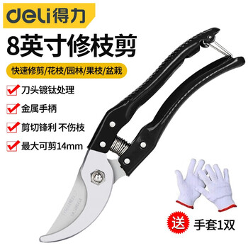 Deli garden scissors, pruning shears, stainless steel flower arrangement, fruit picking artifact, flower cutting branches, thick branch shears, powerful fruit picking, 8-inch pruning shears dl580200
