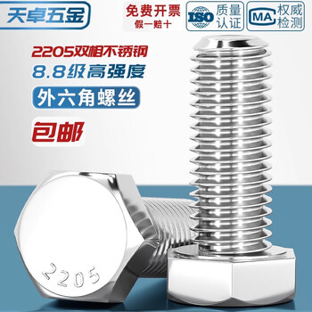 Tianzhuo hardware 8.8 grade 2205 duplex stainless steel external hexagonal screw high strength extended bolt m6m8m10m12m16-m24 m20*80
