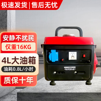 Leap power outdoor portable small gasoline portable generator mini micro frequency conversion 220v household portable manual 650w generator