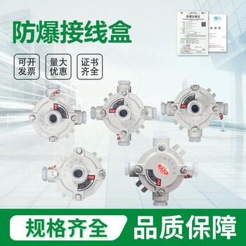 Innovation explosion-proof factory cast aluminum bhd51 explosion-proof junction box ah aluminum alloy junction box one-way hanging three-way four-way flat 12-inch dn32