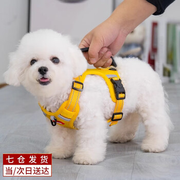 Zhizhou dog leash bichon harness corgi hand carrying small and medium-sized dog walking vest pet supplies teddy pcv yellow traction vest m suitable for pets 14-28 catties