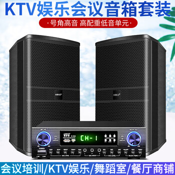 Aibuz 604 home bluetooth ktv speaker set home living room karaoke professional stage conference room classroom shop training speaker 2 10-inch speakers + 500w amplifier