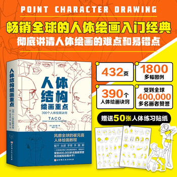 Human body structure drawing key points