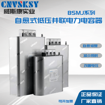 Shanghai viscon three-phase self-healing low-voltage parallel power capacitor bsmj0.45 reactive power compensation cabinet 450v bsmj04553