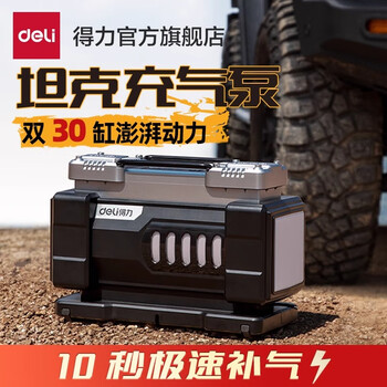 Deli (deli) car air pump electric portable air pump dual 30-cylinder lighting dual-purpose car electric vehicle air pump tank dual 30-cylinder 140w - suya silver