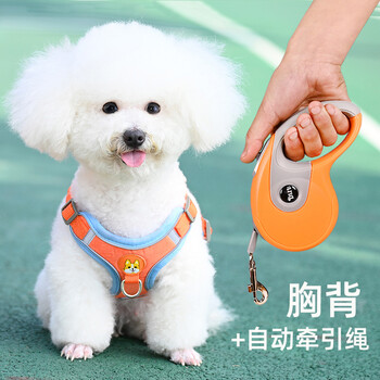 Tang chong dog rope dog leash small dog walking rope harness bichon teddy pomeranian puppy chain