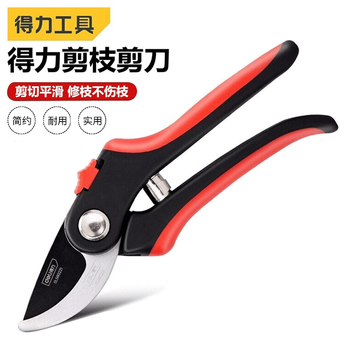 Deli pruning shears, gardening shears for cutting branches, garden pruning, fruit tree pruning, flower pruning shears, pruning shears, flower pruning shears, 8-inch pruning shears dl580221