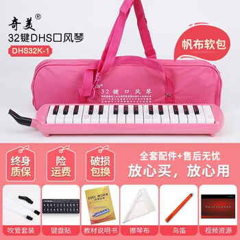 Chimei free engraving dhs mouth organ 37 key beginner instrument for classroom teaching for primary and secondary school students 32 key pink + full set of gifts