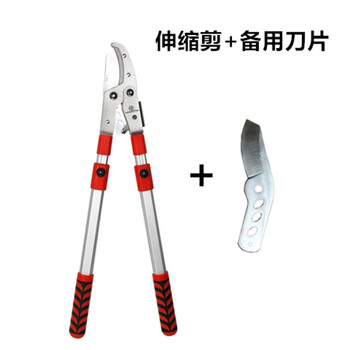 Cat pruning shears, gardening scissors, high branch shears, fruit branch shears, thick branch shears, powerful shears, garden tools, large scissors, telescopic shears + spare blades