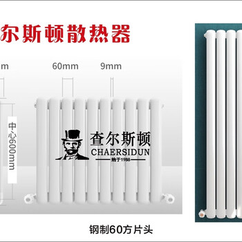 Charleston 60*30 steel radiator household high-quality radiator heating artifact 600
