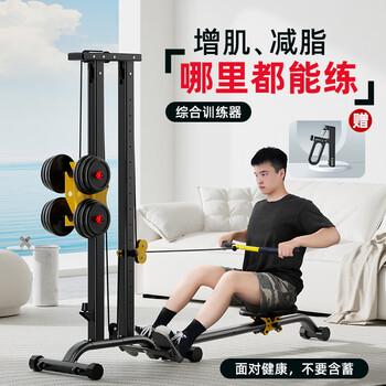 Apocalypse century dl fat donglai's same rowing machine mrcue multifunctional silent dumbbell home indoor comprehensive training fitness equipment basic model silver gray flying bird rope | high position