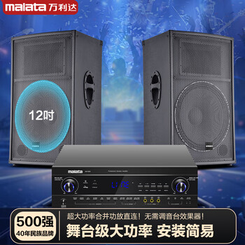 Wanlida outdoor audio set small and medium-sized performance stage wedding full-frequency high-power ktv bar speaker equipment 12-inch audio set + amplifier