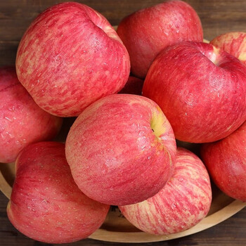 Jixian apple authentic jixian hukou red fuji apple seasonal fresh fruit shanxi tangxin apple crisp sweet fruit gift box 5kg net weight 65mm (inclusive)-70mm (inclusive)