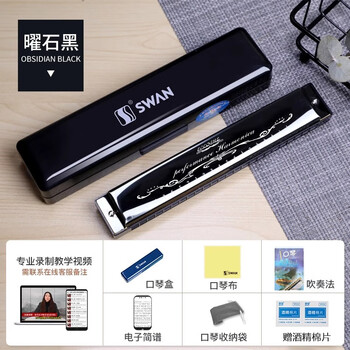 Swan harmonica for beginners, adults and children, 24-hole polyphony, 10-hole blues in c key, mini necklace for men and women, self-study entry, 24-hole c key, black sweater