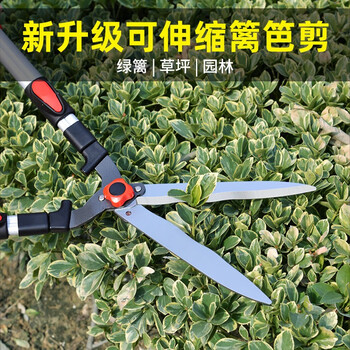 Mytec garden shears, household lawn and fence shears, garden pruners, large scissors, tree branches, hedge shears, thick branches, special powerful shears, straight-blade hedge shears, promotional models