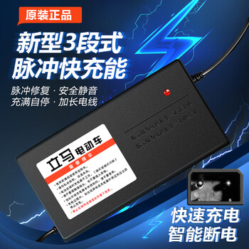 Lima two-hole reverse plug adapts to the original charger 36v48v60v72v lead-acid battery electric vehicle 72v20ah lima classic two-hole reverse