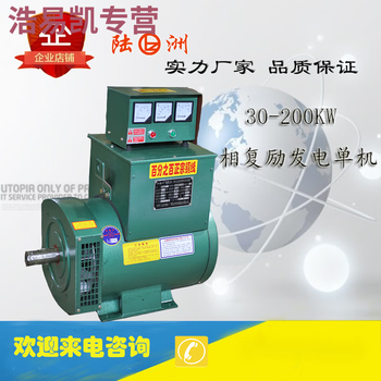 Pupan luchuan luzhou brand diesel generator 30-200kw three-phase compound excitation single machine upgraded version all-copper power generation tzh2-100