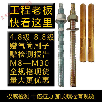 Chemical bolts chemical anchors chemical expansion bolts screws m8m10m12m14m16m18m20m24 m18*220 (8.8 grade 5 sets)