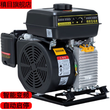 Zhenmu range extender generator two-wheel three-wheel four-car inverter battery gasoline range extender 48v60v72 volt intelligent frequency conversion 4000 watts (48v) three-wheel four