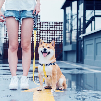 Super durable dog harness teddy shiba inu corgi french dou golden retriever dog leash 2025 four-season universal adjustable dog harness zebra color xs code