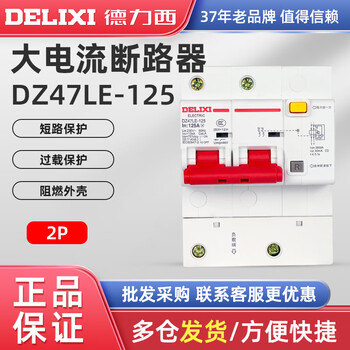 Delixi high current leakage circuit breaker 2p 80a100a 125a leakage protection dz47le-125 single and double phase 100a 2p