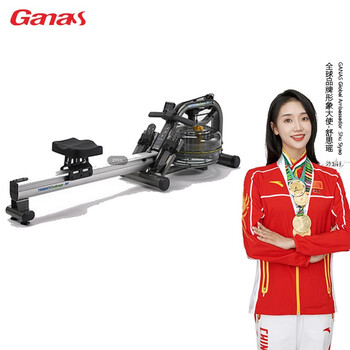 Ganas/ganas commercial water rowing machine black