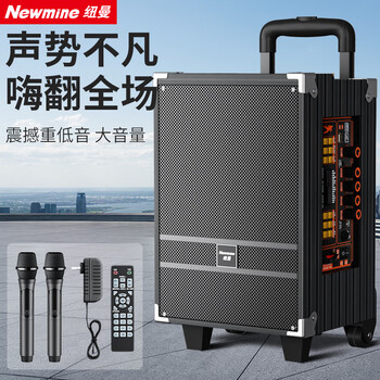 Newman n518 8-inch high-power subwoofer square dance audio mobile home outdoor karaoke bluetooth trolley portable speaker amplifier dual microphone with adapter