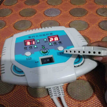 Jade germanium stone mattress thermostat dual temperature dual control switch eight-hole automatic temperature control fully automatic switch controller light gray